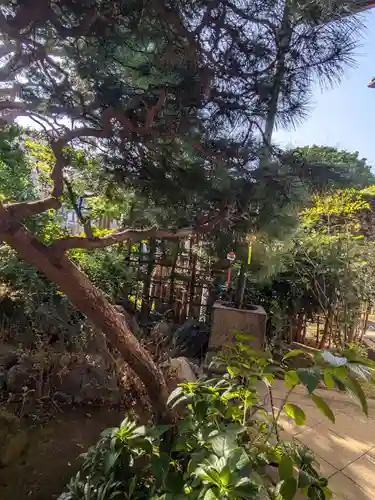 金嶺寺(東京都)