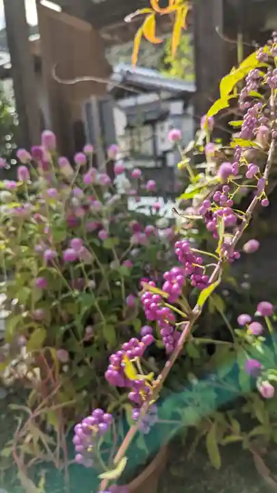 證安院(京都府)