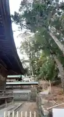 神神社(三輪神社)の建物その他