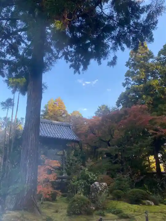 龍潭寺(静岡県)