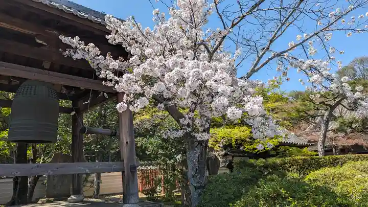 蓮華寺(京都府)