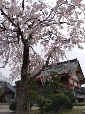 妙法寺(福井県)