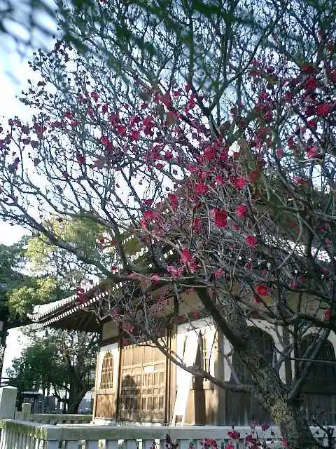 本覚寺のその他建物