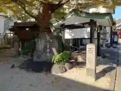 二宮神社(兵庫県)