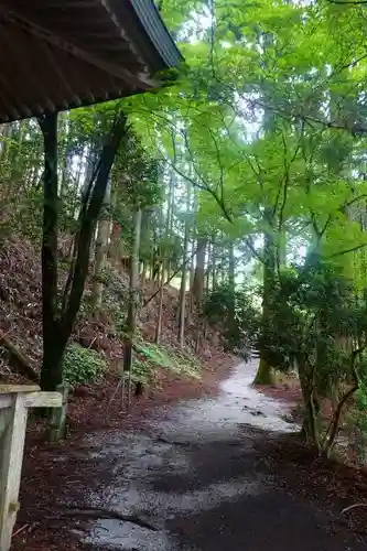 金峯神社（吉野町）の自然