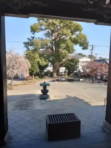 宗仲寺(神奈川県)