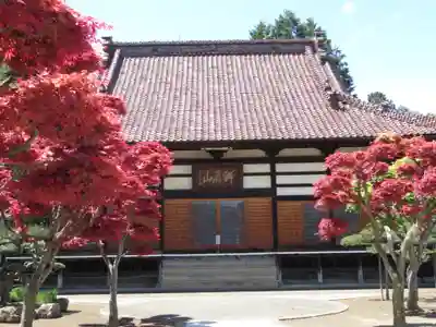 普応寺の本殿・本堂