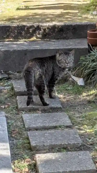 瑞泉寺(京都府)