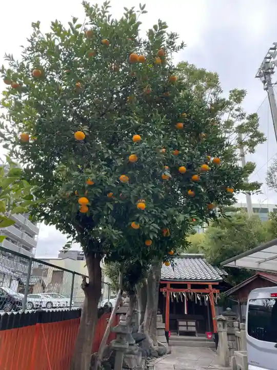 龍田稲荷神社(京都府)