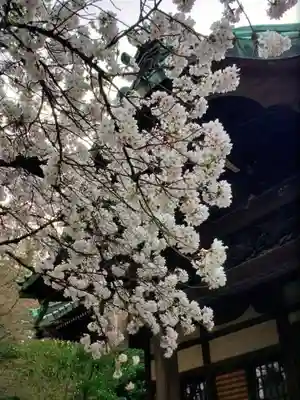 龍光寺(東京都)