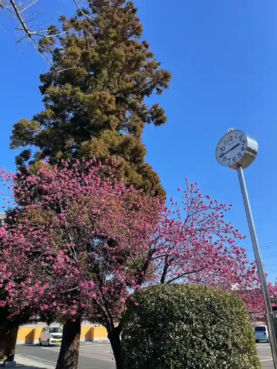 同聚院の{uncategorized: "未分類", other: "その他", undefined: "問題あり", building: "その他建物", grave: "お墓", sacred_gate: "鳥居", guardian: "狛犬", statue: "像", buddha: "仏像", history: "歴史", nature: "自然", garden: "庭園", animal: "動物", pagoda: "塔", temizu: "手水舎", mountain_gate: "山門・神門", sanctuary: "本殿・本堂", subordinate: "末社・摂社", art: "芸術", scenery: "景色", jizo: "地蔵", ema: "絵馬", goshuin: "御朱印", omikuji: "おみくじ", items: "授与品その他", amulet: "お守り", goshuincho: "御朱印帳", eats: "食事", festival: "お祭り", votive_dance: "神楽", shichigosan: "七五三参", wedding: "結婚式", experience: "体験その他", initially: "初詣", around: "周辺", anti_infection: "感染症対策"}