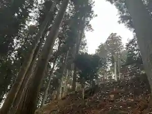 大宮温泉神社(栃木県)(2023年02月14日(火) 08時01分38秒投稿)