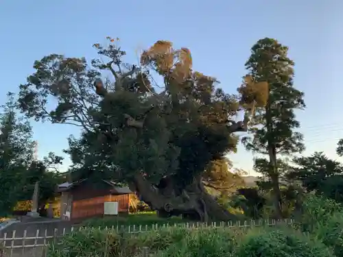 八幡神社の景色