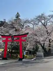 菅原神社の鳥居