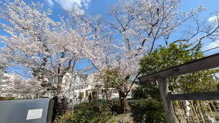 柊社(比良木社)(京都府)