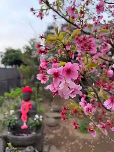 福王山  慈眼寺の地蔵