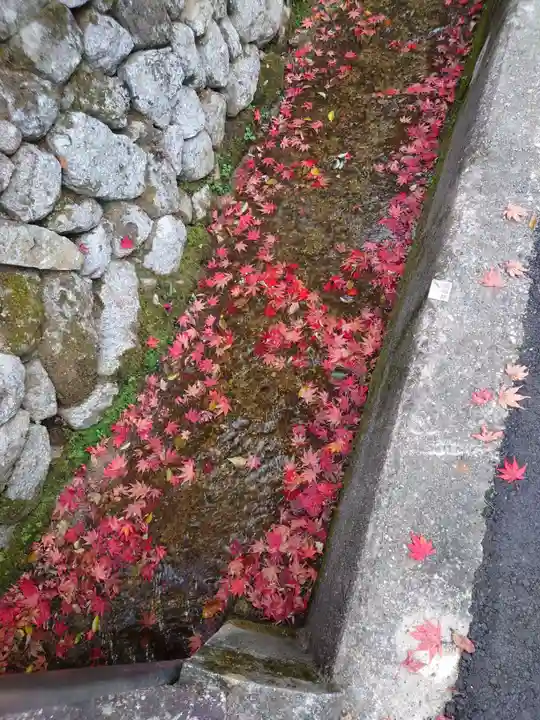 圓光寺(京都府)