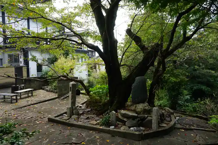 智積院妙見堂の自然