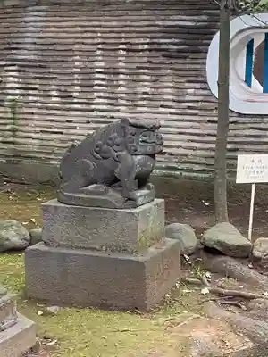 赤坂氷川神社の狛犬