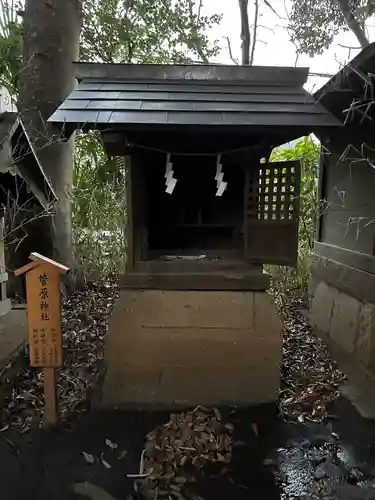 川越氷川神社(埼玉県)