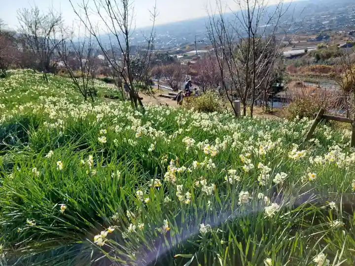 玉祖神社の自然