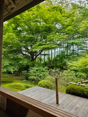 宝泉院(京都府)