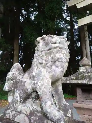 草部吉見神社の狛犬