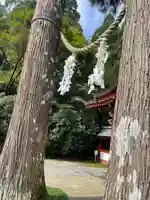 霧島東神社(宮崎県)