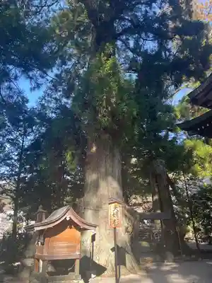 森水無八幡神社(岐阜県)