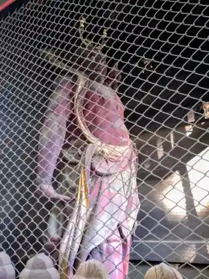 妙法寺(東京都)