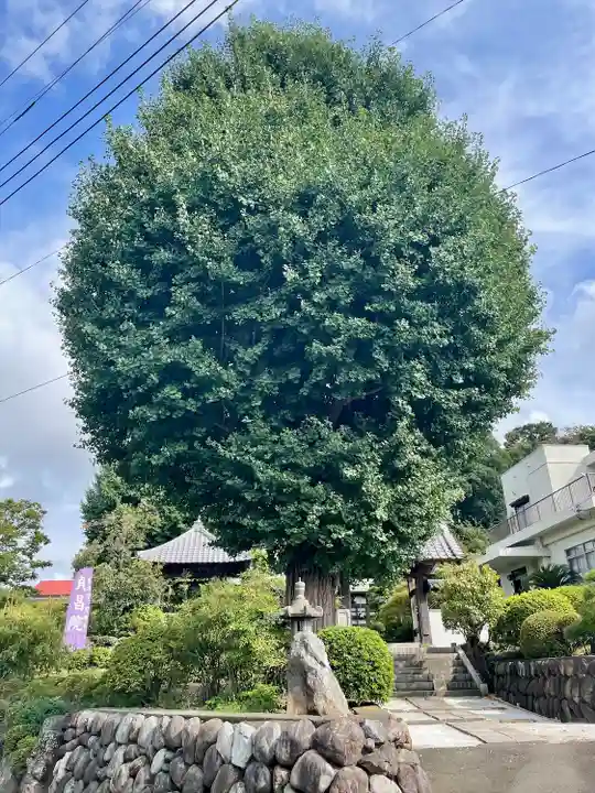 貞昌院(神奈川県)