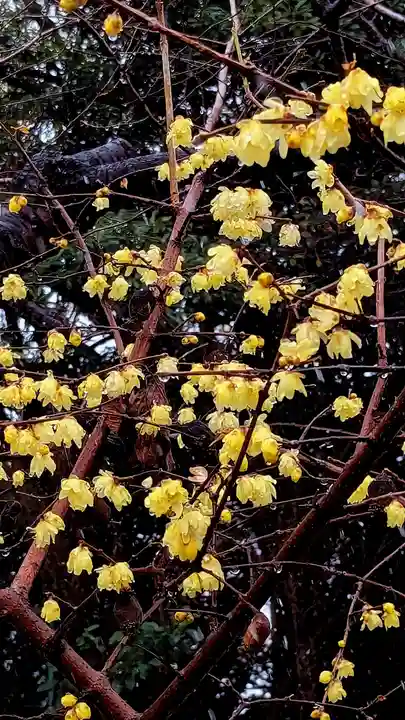 検見川神社の自然