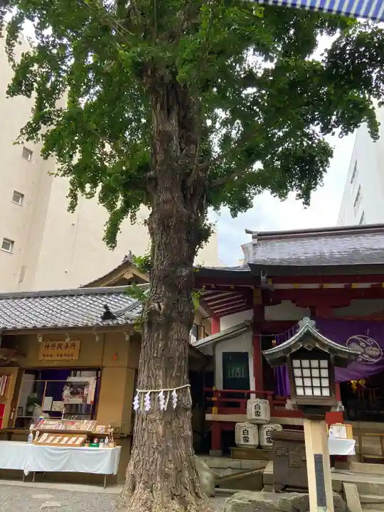 日本橋日枝神社(東京都)
