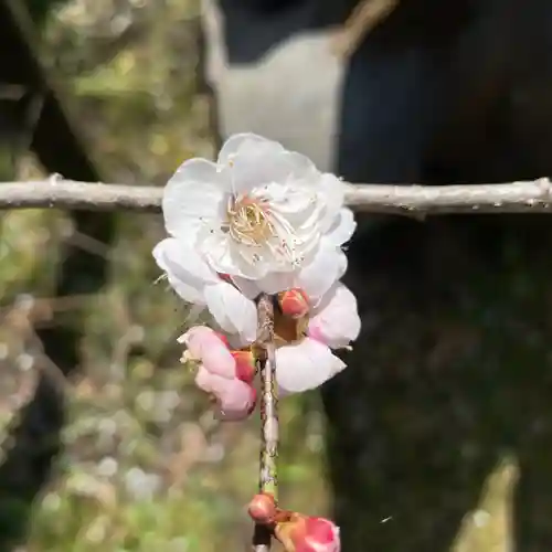 光則寺(神奈川県)