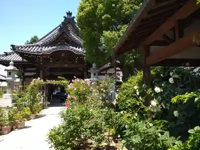 おふさ観音(観音寺)の本殿・本堂