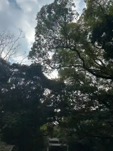 熱田神宮(愛知県)