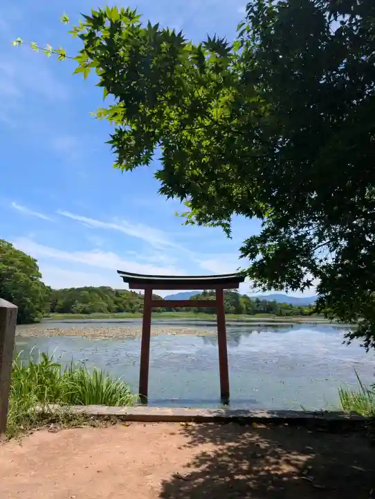 薦神社(大分県)