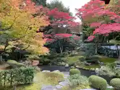 御寺 泉涌寺(京都府)