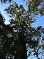 石上神宮(奈良県)