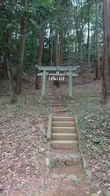 虎柏神社の鳥居