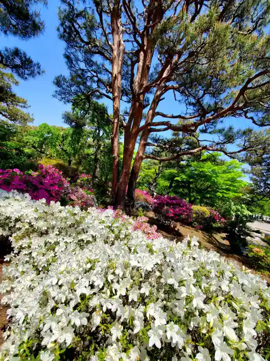 開成山大神宮(福島県)