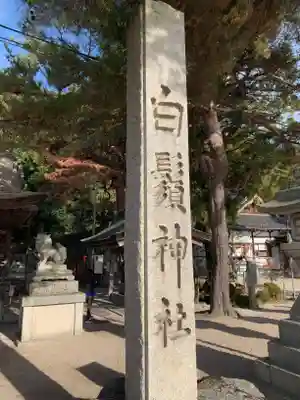 白鬚神社の狛犬