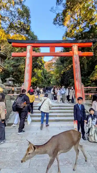 夫婦大國社(春日大社末社)(奈良県)