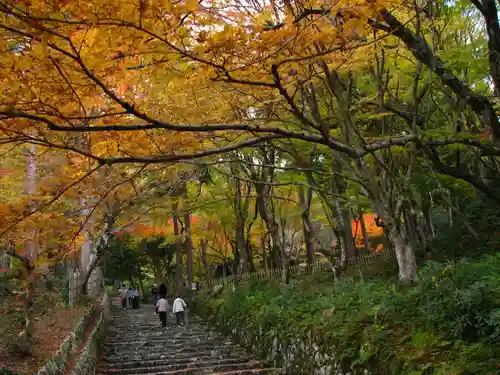 百済寺のその他建物