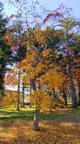 芽室神社の自然