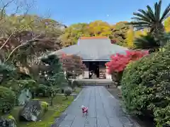 伊勢の国 四天王寺の本殿