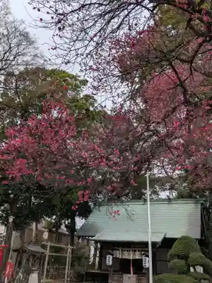 田端神社(東京都)