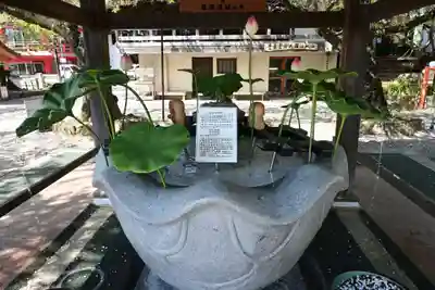 金剛宝寺（紀三井寺）(和歌山県)