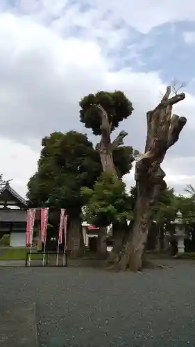 龍圓寺(埼玉県)