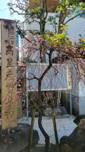 高木神社の{uncategorized: "未分類", other: "その他", undefined: "問題あり", building: "その他建物", grave: "お墓", sacred_gate: "鳥居", guardian: "狛犬", statue: "像", buddha: "仏像", history: "歴史", nature: "自然", garden: "庭園", animal: "動物", pagoda: "塔", temizu: "手水舎", mountain_gate: "山門・神門", sanctuary: "本殿・本堂", subordinate: "末社・摂社", art: "芸術", scenery: "景色", jizo: "地蔵", ema: "絵馬", goshuin: "御朱印", omikuji: "おみくじ", items: "授与品その他", amulet: "お守り", goshuincho: "御朱印帳", eats: "食事", festival: "お祭り", votive_dance: "神楽", shichigosan: "七五三参", wedding: "結婚式", experience: "体験その他", initially: "初詣", around: "周辺", anti_infection: "感染症対策"}